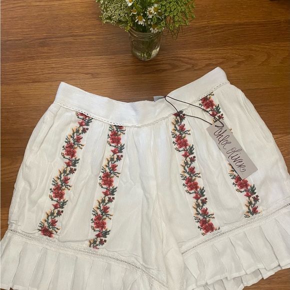 Anthropologie - Red and White Shorts -Chloe Oliver - Picture 2 of 7
